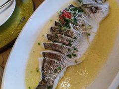 -热度餐厅(老佛爷店)