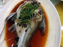 -有腥气私房菜·寻味顺德