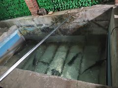 -姥家大锅台水库渔家