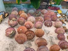 -安阳迎宾馆-普利亚西餐厅