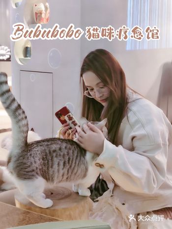 撸猫好店|萌宠治愈你的Bububobo猫咪疗愈馆