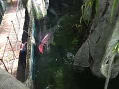 -青青世界