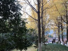 -四川大学(华西校区)