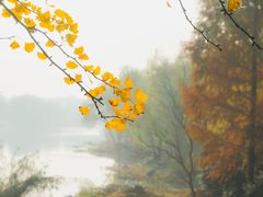 -长广溪湿地公园