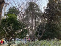 -莲湖公园