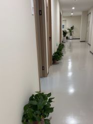 -苏州维多利亚美容医院