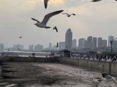-星海广场