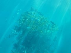 -瑞德姆美人鱼海底演艺主题餐厅(亚龙湾店)