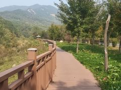 -三块石国家森林公园