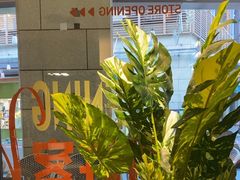 -必胜客(阿罗海店)