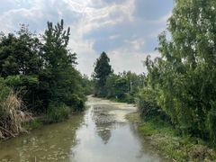 -白鹭湾湿地公园
