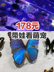 -七巧国萌宠乐园(龙湖天街店)