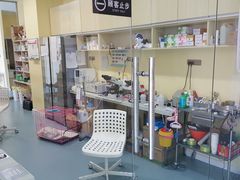 -瑞鹏宠物医院·爱宠堂·骨外专科(西荷分院)