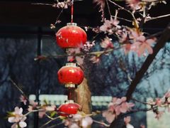 -三里河公园