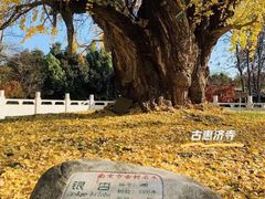 -老门东历史文化街区