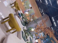 -帕帕拉兹宠物(亚洲旗舰店)