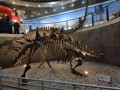 -国家自然博物馆