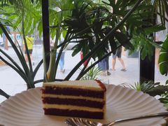 -Soloist 独奏公司(798店)
