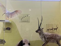 -国家自然博物馆