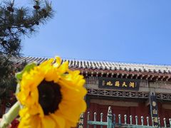 -泰山风景名胜区