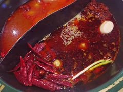 番茄鸳鸯锅-有拈头成都市井火锅(柳市店)
