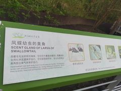 -西湖风景区-江洋畈生态公园