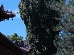 -张掖大佛寺景区