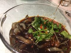-兴圆苑