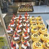 喵小奇的美食之旅
