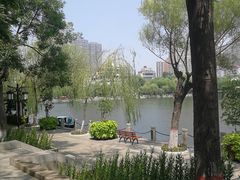 -文瀛公园