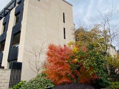 -上海崇明金茂凯悦酒店