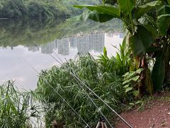 -重庆彩云湖湿地公园