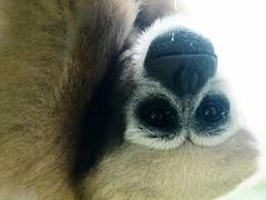 -杭州野生动物世界