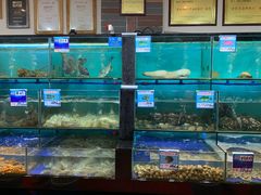 -南海渔家•海鲜•正宗海南菜(海棠湾店)