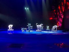 -珠海横琴长隆《卡卡虎奇遇记》