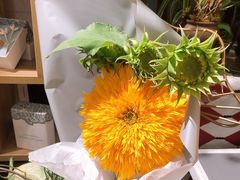 -T11生鲜超市(朝阳公园店)