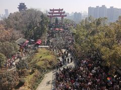 -黄鹤楼公园(黄鹤楼)