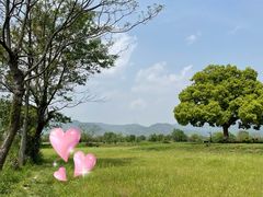 -良渚古城遗址公园