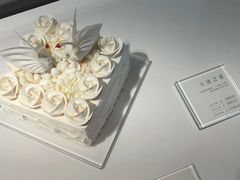 -BLACKSWAN黑天鹅(新希望店)