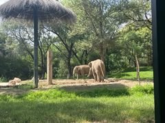 -北京野生动物园