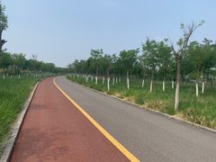 -天津东丽湖风景区