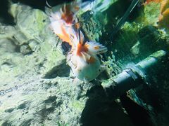 -苏州海洋馆