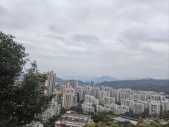 -福道