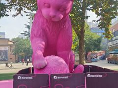 -西安电影制片厂