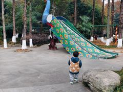 -成飞公园