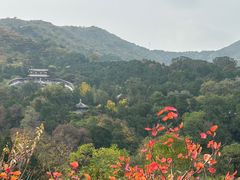 -香山公园