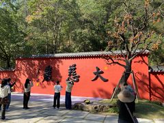 -大慈岩风景区