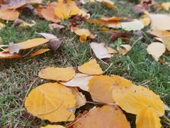 -唐城墙遗址公园