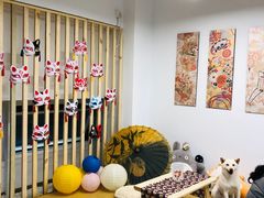 -柴迷FANS CLUB·柴犬狗咖·猫咖