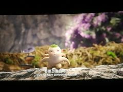 -荣威·上海儿童艺术剧场-停车场